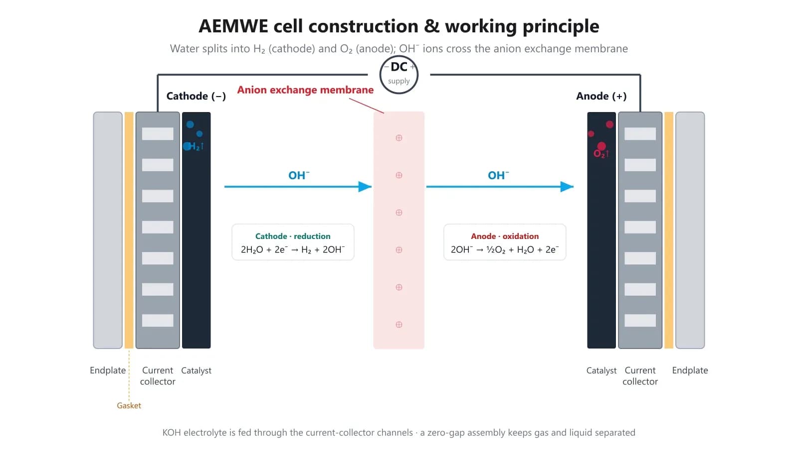 Cross-section of an AEMWE cell showing endplates, current collectors, gaskets, catalyst electrodes and the central anion exchange membrane carrying OH⁻ ions.